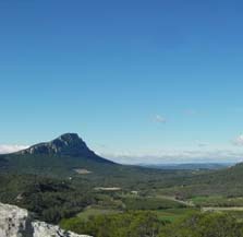 pic saint loup